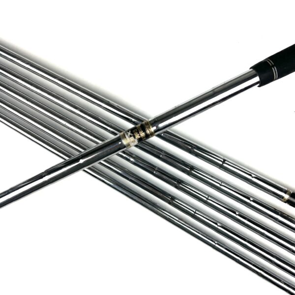 Titleist 710 AP1 Irons / 5-PW / Dynalite Gold XP Regular Flex