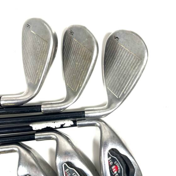Left Handed Callaway Big Bertha 2002 Irons / 6-SW / RCH 75 Regular Flex