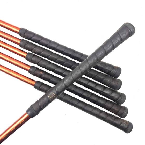 Ping G10 Irons / 5-PW / TFC 129 Regular Flex