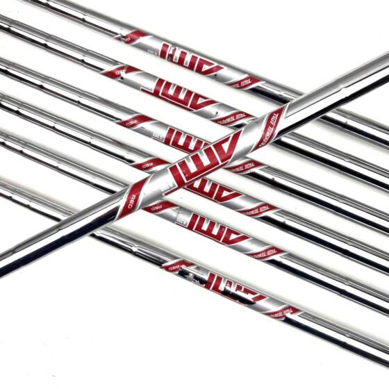 Titleist T300 2019 Irons / 5-PW + 48 / AMT R300 Red Regular Flex