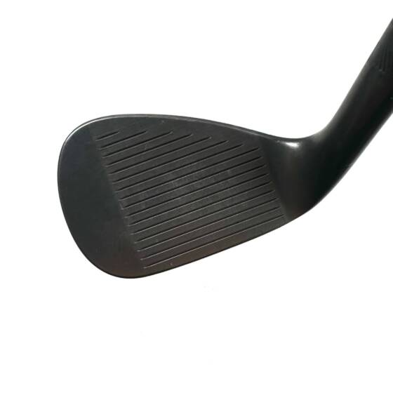 Titleist Vokey SM10 Pitching Wedge / 46 Degree / Dynamic Gold X100 X-Stiff Flex