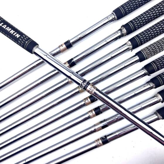 Titleist ZB Forged Irons / 2-PW / True Temper Dynamic Gold Stiff Flex