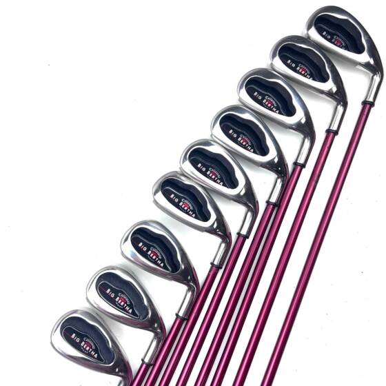 Callaway Big Bertha 2004 Irons / 3-SW / RCH Regular Flex
