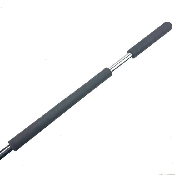 Palm Springs 2 EZ Putter / 49.5 Inches