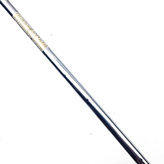 Taylormade P790 2019 2 Iron / 17 Degree / Dynamic Gold 105 S300 Stiff Flex