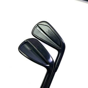 Titleist T150/T200 Irons / 4-PW / LA Golf L Series 120 Regular Flex